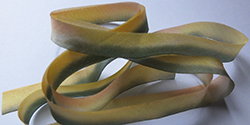 Hand-dyed silk ribbon: yellow